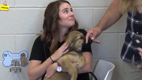 Families Adopted Puppies Before Even Meeting Them. Then The Heartwarming Moment Arrived