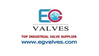 About EG Valves - Top Industrial Valve Manufacturer