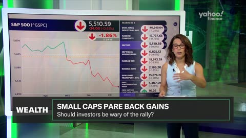 Small caps 101: Why some are skeptical of the rally| Nation Now ✅