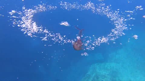 Bubble ring vs jellyfish.. 🤣