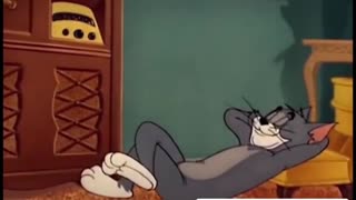 Scenes from Tom and Jerry that were seen in reality