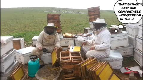 Beekeeper talks about the essential tools