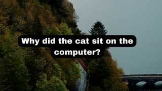 Dad Jokes Cat Computer