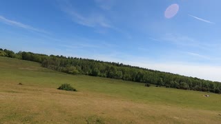 Drone footage ..panning away . At Deers Leap New Forest.