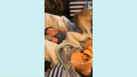 Dog is very happy about the newborn