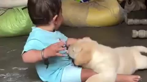 Cute dog and baby.