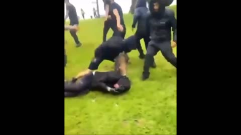 Muslims Attacking Whites in a Park