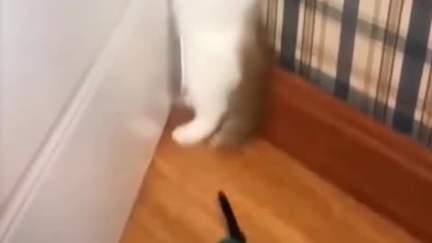 Funny and Cute Cats (02) - Scared of Soldiers!