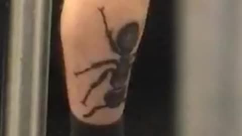 Shorts man with giant ant tattoo rides subway