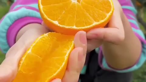 So sweet and juicy,Cutting orange,fruit