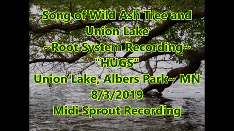 Song of the Wild Ash Tree and Union Lake Hugs 8 3 2019