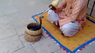 snake dance in india