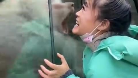 Monkey and children funny videos