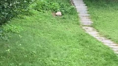 A road leading up the hill