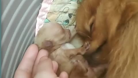 Its great to become a mother for the first time .