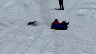 Kiddo Tries to Jump onto Tube