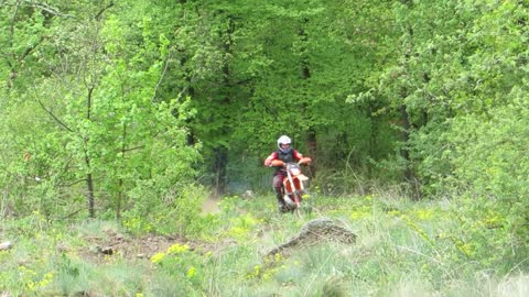 motorcycles and nature