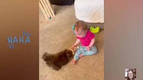 Not To Laugh- Funny Baby and Animal.