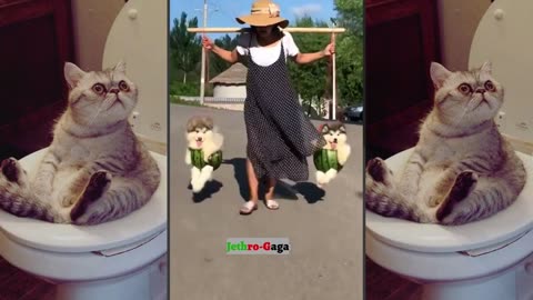 Funny Cats 😂 Try not to laugh moments with hilarious cats 2023 😺