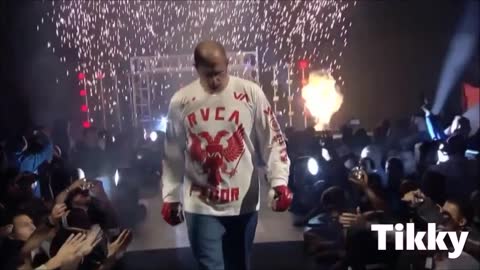 Fedor Emelianenko Best Knockout