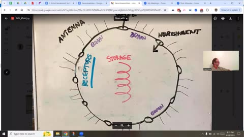 Craig Lane Community Dinner - Cells Are Transmitting and Receiving (ECS talk)