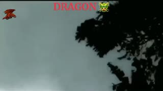 DRAGON IN THE SKY