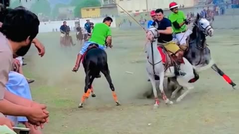 Freestyle polo - the king of all games