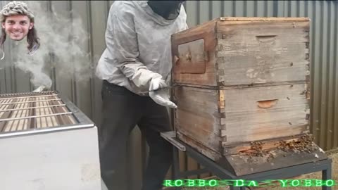 🐝 Adding another Queen 👑 BROOD box 🍯 BareFoot BushMan 🤠 Robbo Da Yobbo