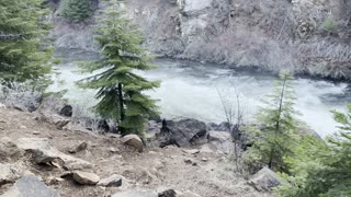 Entering the Benham Falls Zone – Deschutes River Trail – Central Oregon – 4K