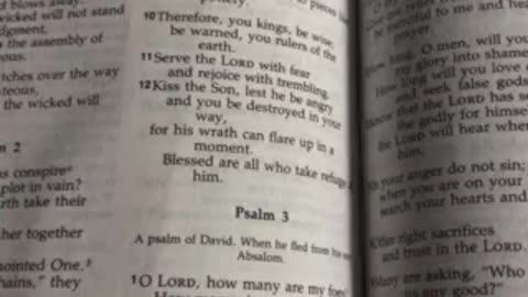 Psalm 3 NIV 1984
