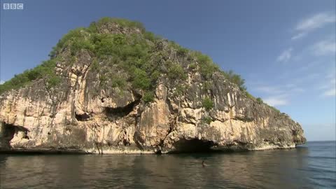 Rock Climbing for Snakes | Deadly 60 | Series 2 | BBC Earth