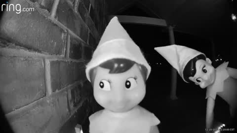 Elf on the shelf caught on ring cam