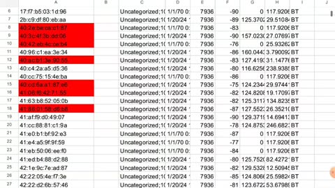 Texas, Florida, and New York All Showing Massive Mac Addresses in Humans