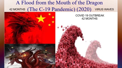 A Flood from the Dragon/The Covid-19 Pandemic (2020)