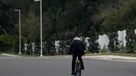 Cat Rides on Bicyclist's Back