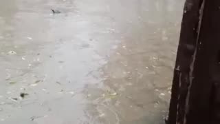 heavy rain today in pakistan | Weather #rain #weather