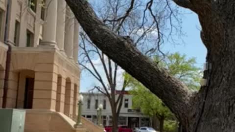 Georgetown square in Georgetown, Tx