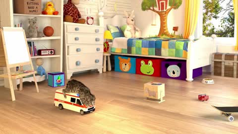 El gato en la vida real my favorite cat talking tom