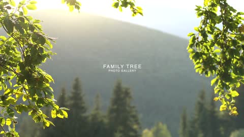 Family Tree Slideshow