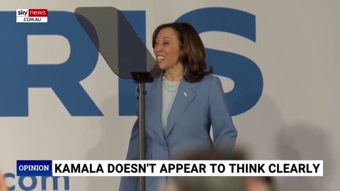 ‘Concerning’: Kamala Harris ‘doesn’t have much’ foreign policy experience