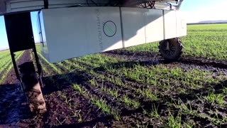 This robot uses AI to zap weeds without harming crops