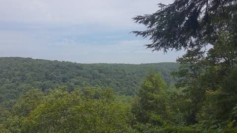 Gorge Lookout Park Mohican Area Ohio More Footage