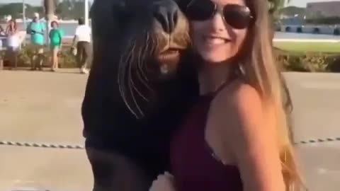 funny sea-lion selfie