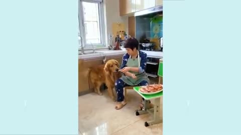 Dog wants to save baby