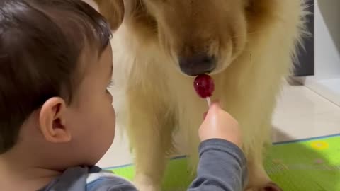 Baby and dog sharing lollipops
