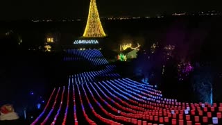 Christmas lights at Luminari