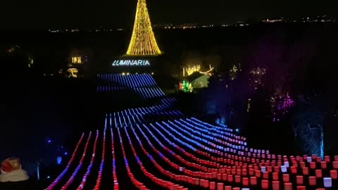 Christmas lights at Luminari