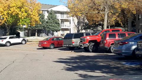 Sterling Green Apartments, DD, SD