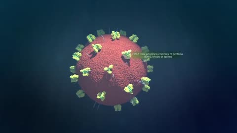 How HIV Virus enters the body