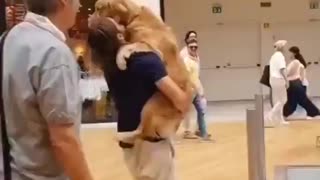 Man Helps Scared Dog